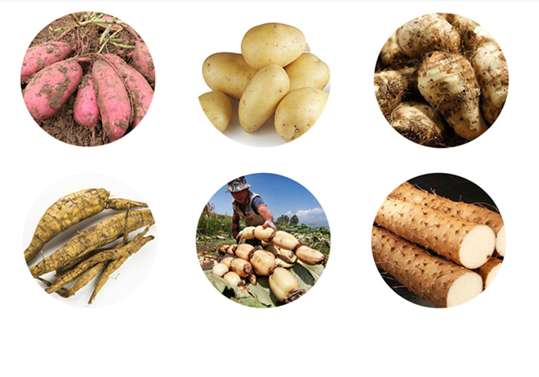 Máy xay tinh bột xay được rất nhiều các loại rau, củ, quả