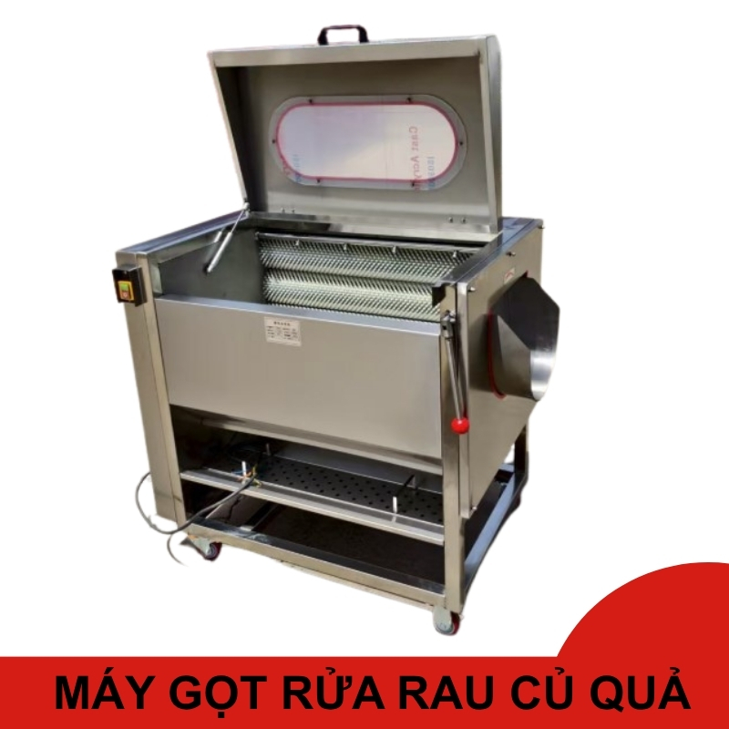 Máy gọt rửa rau củ quả công nghiệp  Model 60