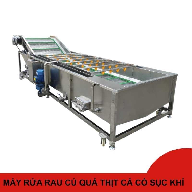 Máy rửa rau củ quả băng tải có sục khí ozon công suất lớn