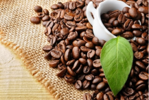 Tiêu chí lựa chọn máy xay cà phê phù hợp nhất.
