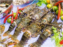 Tại sao nên mua tủ hấp hải sản???