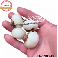 MÁY GỌT VỎ CỦ NĂNG – TIẾT KIỆM THỜI GIAN, LÀM SẠCH NHANH, HIỆU QUẢ VƯỢT TRỘI