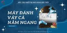 Máy đánh vảy cá tự động nằm ngang: Tăng năng suất và hiệu quả cho ngành công nghiệp thủy sản