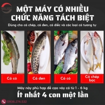 CÁCH ĐÁNH VẢY CÁ HIỆU QUẢ BẰNG MÁY ĐÁNH VẢY CÁ – NHANH, SẠCH, KHÔNG LÀM RÁCH THỊT