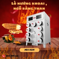 Khám Phá Thế Giới Ẩm Thực Với Lò Nướng Khoai