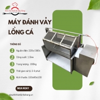 Máy Đánh Lồng Vảy Cá: Giới Thiệu Tổng Quan