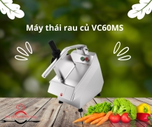 TỔNG HỢP MÁY THÁI RAU CỦ QUẢ TỐT NHẤT HIỆN NAY TẠI BẮC VIỆT