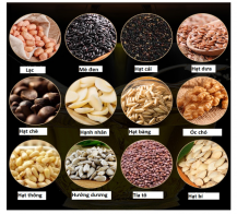 Máy Ép Dầu Thực Vật – Giải Pháp Sản Xuất Dầu Sạch, Tối Ưu Lợi Nhuận