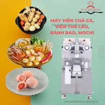 MÁY SẢN XUẤT VIÊN THẢ LẨU – THIẾT BỊ TẠO VIÊN NHANH, ĐỀU, TỐI ƯU CHO KINH DOANH